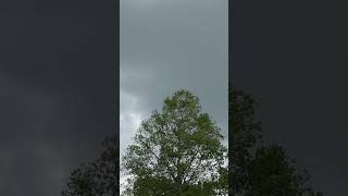 10 day long storms moving in #tennessee #weather #breaking