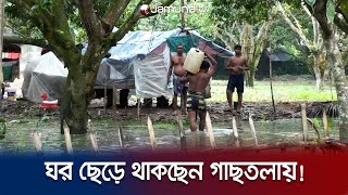 ঘর ছেড়ে গাছতলায়! জলাবদ্ধতায় সীমাহীন দুর্ভোগে সাতক্ষীরার মানুষ | Satkhira | Waterlog | Jamuna TV