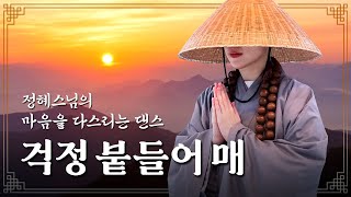 🌅정혜스님의 새해맞이 특강🌅 마음을 다스리는 댄스🧘‍♂️ 정미애 - 걱정 붙들어 매 | 이지댄스 다이어트댄스 거울모드 Mirrored #후쌤 #보노쌤