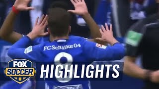 Schalke 04 vs. VfL Wolfsburg | 2016-17 Bundesliga Highlights