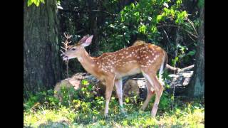 Around the Grounds at TSC