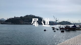 尾道vlog   🐈　☕️    鼻息多め編