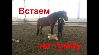 Марс встаёт на тумбу