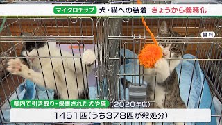 378匹が殺処分された年も 飼育放棄の抑止力期待 販売される犬や猫へのマイクロチップの装着義務化（静岡県）