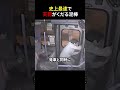 史上最速で天罰がくだる泥棒 shortsvideo