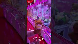 인형 뽑기 대성공! 드디어 갖고 싶던 귀여운 인형을 뽑았어요! | Claw machine jackpot! I finally won the cute plush I wanted!