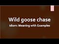 Idiom: Wild goose chase Meaning and Example Sentences | Vol. 1