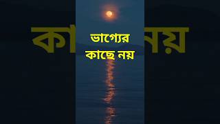 ভাগ্যের কাছে নয় 😔 || Quotes in Bangla || shayari || motivation || Sad status || short feed ||