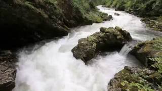 Slovenian waters - Vintgar Gorge, Skocjan Caves, Piran, Soca River, Pisnica River