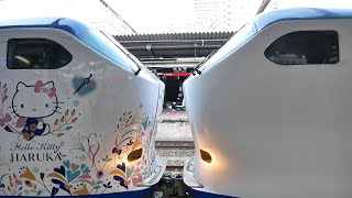 関空特急はるか281系（ハローキティはるか）関西空港行　天王寺駅          関空特急はるか35号　2020/3