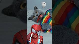 OMG!😭 The Cat’s Trick Totally Scared Spider-Man🩸 #funnycat #prank #funnymemes #trending