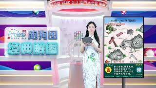 第042期 --【澳门跑狗图】小龙女来给你解图啦！😘