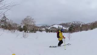 志賀高原 一ノ瀬エリア テレマークスキー バックカントリー Jan.24 2021 Telemark ski backcountry in Japan