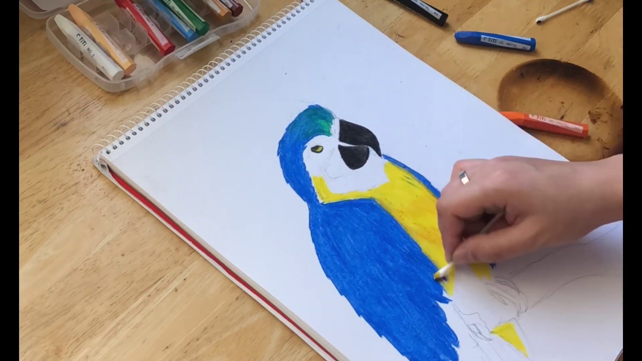 How To Draw A Bird Using Oil Pastel | Beginners - YouTube