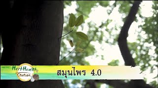 Herb Health Station EP7-1 สมุนไพร 4.0