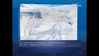 Афанасий-Ломонос. Календарь губернии от 31 января