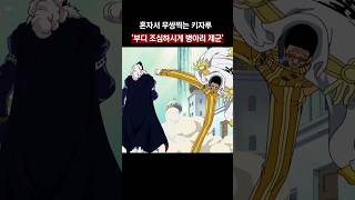 🔥혼자서 무쌍찍는 키자루🔥