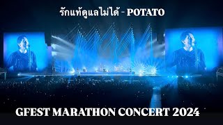 รักแท้ดูแลไม่ได้ - POTATO | GFEST MARATHON CONCERT 2024 - 24 Aug 2024