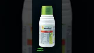 Ampligo Syngenta