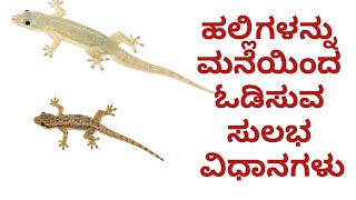 ಹಲ್ಲಿಗಳನ್ನು ಮನೆಯಿಂದ ಓಡಿಸುವ ಸುಲಭ ವಿಧಾನಗಳು|how to get rid of lizard easily in Kannada