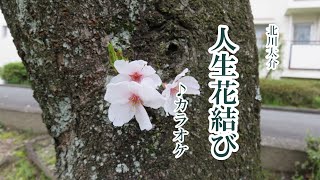 北川太介「人生花結び」 カラオケ2024年1月31日発売