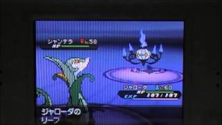 ＜1/2単発＞ポケモンBW2チャンピオンロード編（四天王編part2）