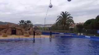 Marineland, Dolphinarium, Marine ZOO, Waterpark, Cataluna, Spain