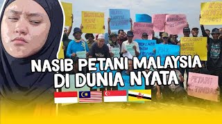 REAKSI INDONESIA PETANI MALAYSIA JUAL PADI MURAH NASIB PETANI INDONESIA LEBIH NGERI ?