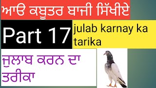 ਆੳ ਕਬੂਤਰ ਬਾਜੀ ਸਿੱਖੀਏ Part 17 ਜੁਲਾਬ ਕਰਨ ਦਾ ਤਰੀਕਾ pigeon traning school Julab karne ka tarika part 17