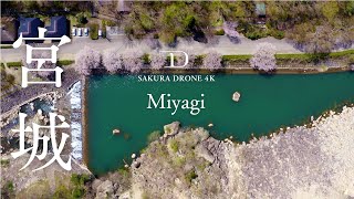 [桜ドローン撮影4K] 宮城県白石市材木岩公園/西行戻しの松公園の桜｜桜ドローンプロジェクト