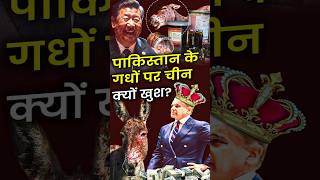 Pakistan के गधों पर चीन क्यों खुश? 🇵🇰🇨🇳 #pakistan #china #donkey