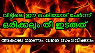 ഈ ചെടിയുടെ സമീപത്ത് തീയുടെ സാമീപ്യം വരരുത്... കുടുംബം നശിക്കും #viral