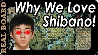 Why We Love Shibano Toramaru! - Real Board Lecture