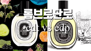 비뿌의 정석 딥티크 롬브로단로 EDT VS EDP 비교리뷰(시향처,닮은향까지) 총정리!👌🏻