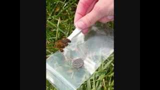 PooPrints Waste Sample Collection Kit Instruction Video
