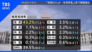 自民支持率が急上昇 解散風も･･･【news23】