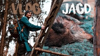 Ansitz-  und Drückjagd im Herbst \u0026 Winter  | Jagd Vlog [4k]