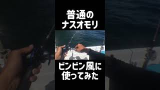 【ミニボート釣行】普通のナスオモリをビンビンスイッチ風にして釣ってみたら・・・