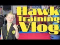 Hawk Training Vlog #martialarts #karatekid #cobrakai