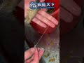 教大家30秒輕鬆處理蝦線 【mls蝦戰天下】 17shrimp 台湾のエビ釣り shrimpfishing 새우낚시 shorts