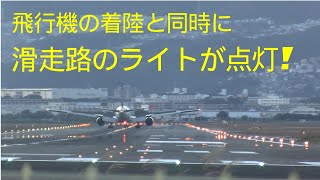 【大阪伊丹空港】夕暮れの千里川土手　滑走路のライト点灯の瞬間を見れました！