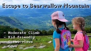 Hiking Bearwallow Mountain Trail - Things to do in Asheville \u0026 Hendersonville Western North Carolina