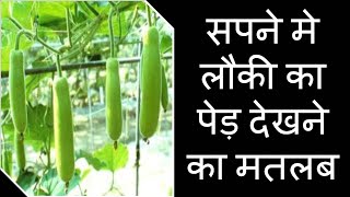 सपने में लौकी का पेड़ देखने  का मतलब | Sapne Me lauki ka ped dekhna | Seeing Gourd Tree in Dream