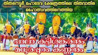 Thirunettoor temple Ulsavam 2020 |  തിരു നെട്ടൂർ മഹാദേവർ ക്ഷേത്രം തിരുവാതിര ഉത്സവം 2020