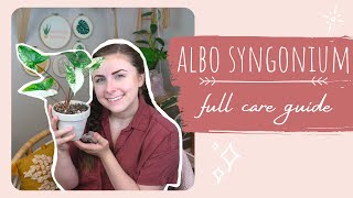 syngonium albo full care guide | how to grow full + happy plants!