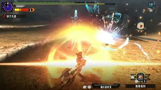 【MHXX闘技】大連続狩猟1 ガンランス 9'44