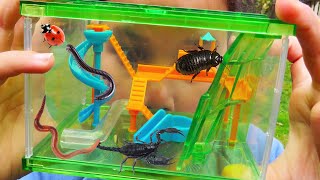 Bug Playground - For Real Bugs - Bug Hunt For Kids With Zoe and Daddy