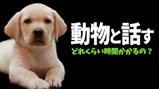 【動物と話す】どれくらい練習すれば動物と話せるの？？（アニマルコミュニケーション）