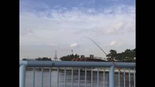 Yokohama, Japan | Fishing in Winter