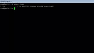 Linux - whatis Command - w3resource
